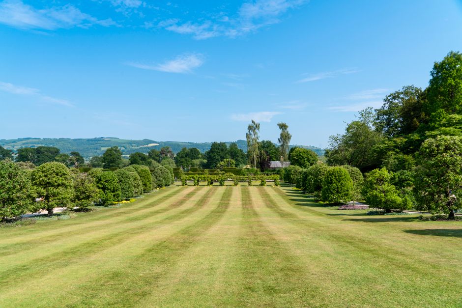A lush, well-maintained city park with a winding paved pathway running through a vibrant landscape of mature trees, including deciduous species with green and reddish foliage. The grassy areas are nea